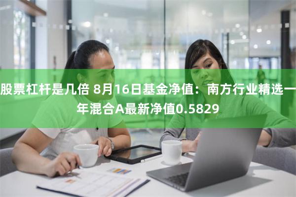 股票杠杆是几倍 8月16日基金净值：南方行业精选一年混合