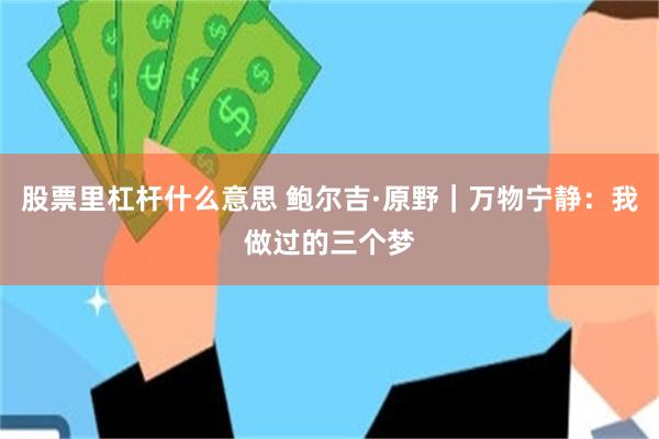 股票里杠杆什么意思 鲍尔吉·原野｜万物宁静：我做过的三个梦