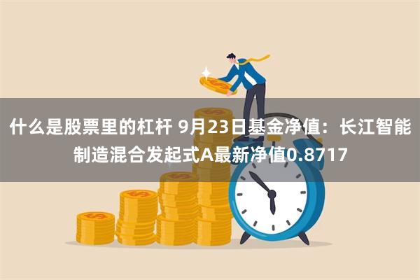 什么是股票里的杠杆 9月23日基金净值：长江智能制造混合发起式A最新净值0.8717