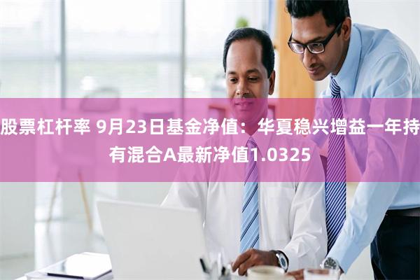 股票杠杆率 9月23日基金净值：华夏稳兴增益一年持有混合A最新净值1.0325