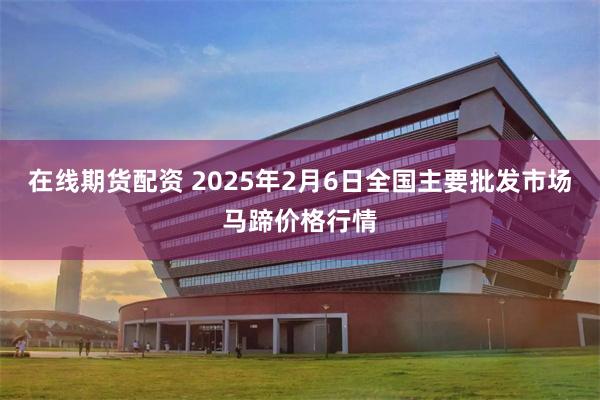 在线期货配资 2025年2月6日全国主要批发市场马蹄价格行情