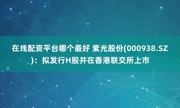 在线配资平台哪个最好 紫光股份(000938.SZ)：拟发行H股并在香港联交所上市